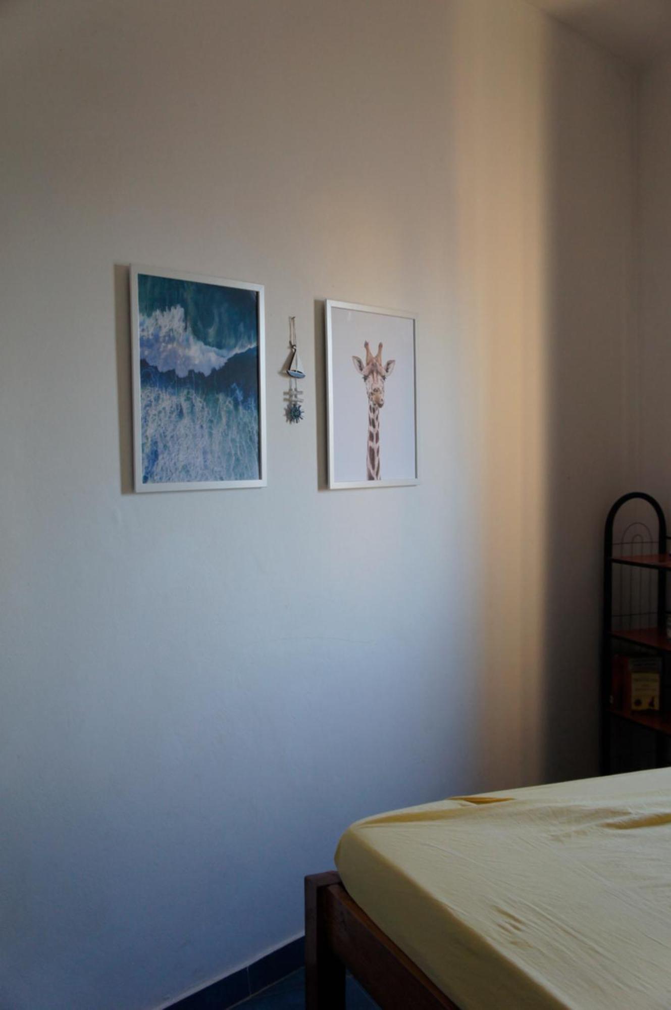 Apart-Hotel Ca Elsa Sal Rei Room photo