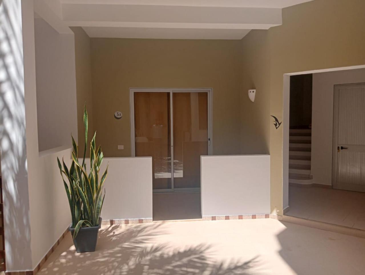 Apart-Hotel Ca Elsa Sal Rei Room photo